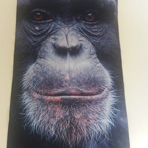 Face Mask, Chimpanzee Face Mask, Fun Neck Gaiter🌸